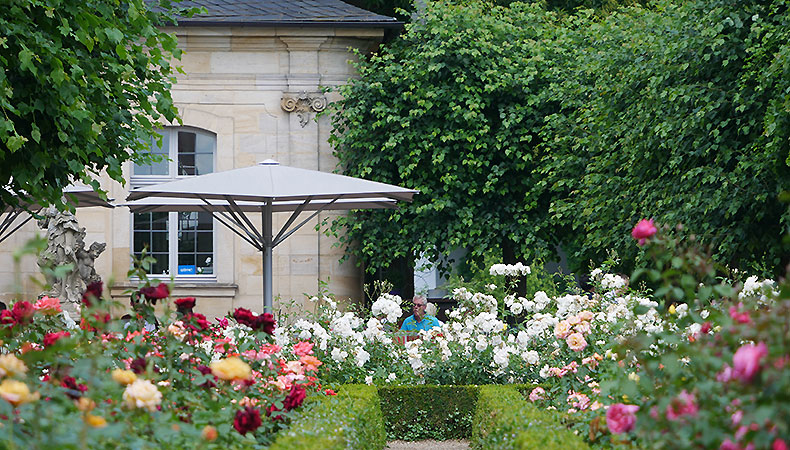 Picture: Rose Garden with Café