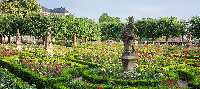 Picture: Rose Garden