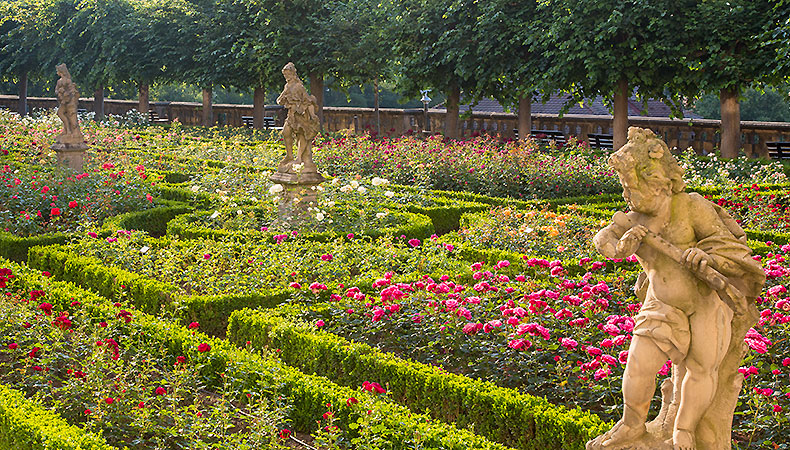 Picture: Rose Garden