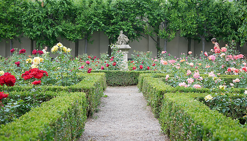 Picture: Rose Garden