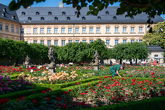 Gärtner im Rosengarten der Neuen Residenz Bamberg, Foto: www.kreativ-instinkt.de Bild: Gärtner im Rosengarten der Neuen Residenz Bamberg