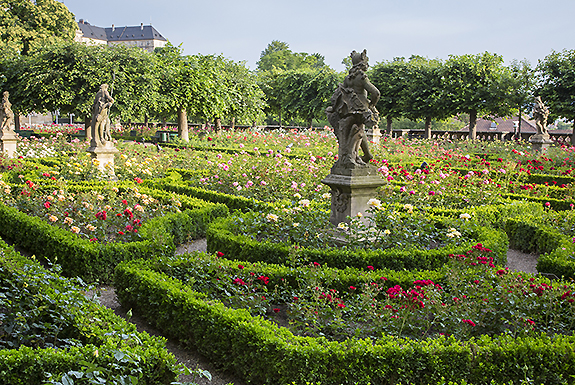 Picture: Rose Garden