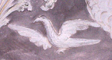 Bild: Taube aus dem Deckenstuck 