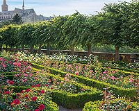 Link zum Puzzle "Rosengarten"